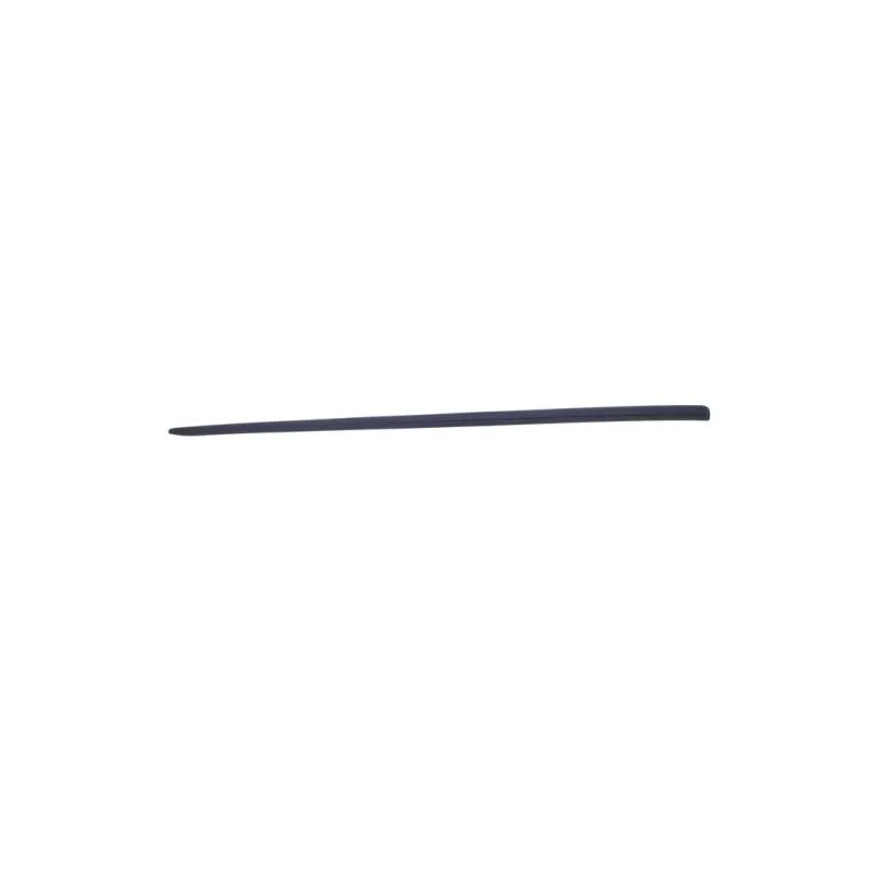 Baguette et bande protectrice, aile avant droit BLIC 5703-04-2024572P