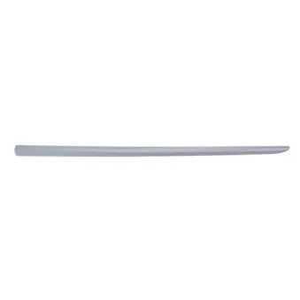 Baguette et bande protectrice, aile avant gauche BLIC 5703-04-2024575P