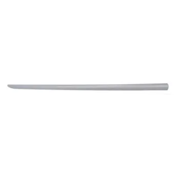 Baguette et bande protectrice, aile avant droit BLIC 5703-04-2024576P