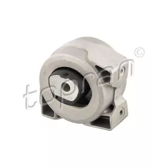 Suspension, boîte automatique arrière gauche TOPRAN 407 833