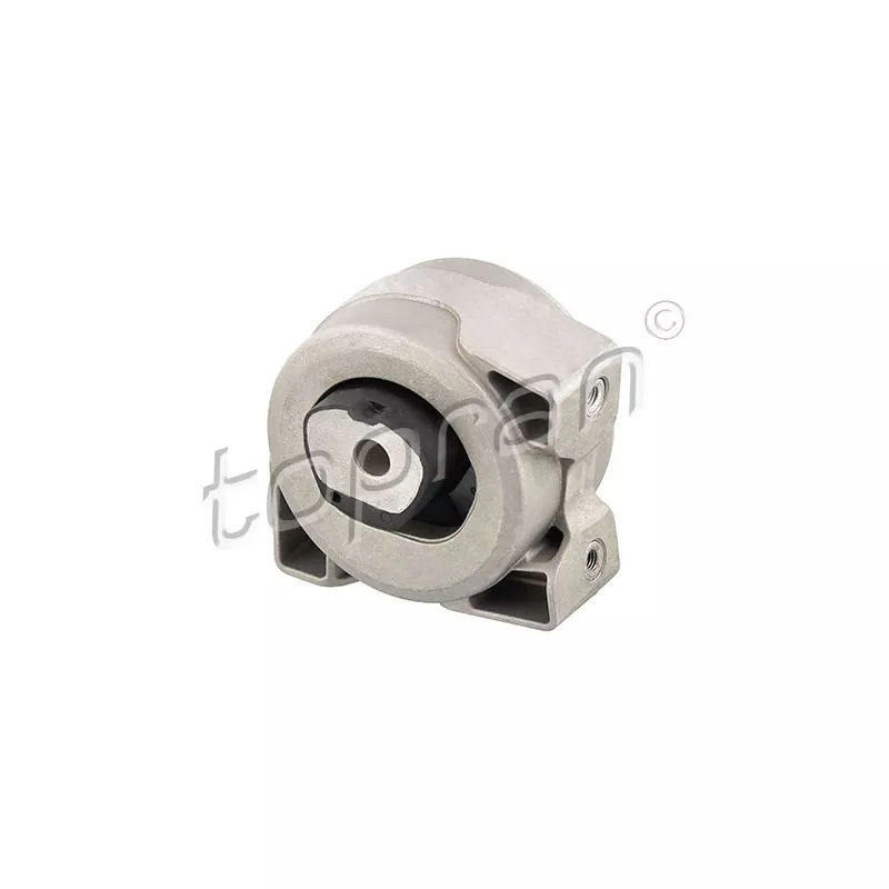 Suspension, boîte automatique arrière gauche TOPRAN 407 833