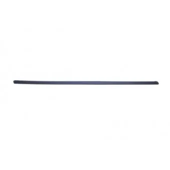 Baguette et bande protectrice, aile avant droit BLIC 5703-04-2026572P