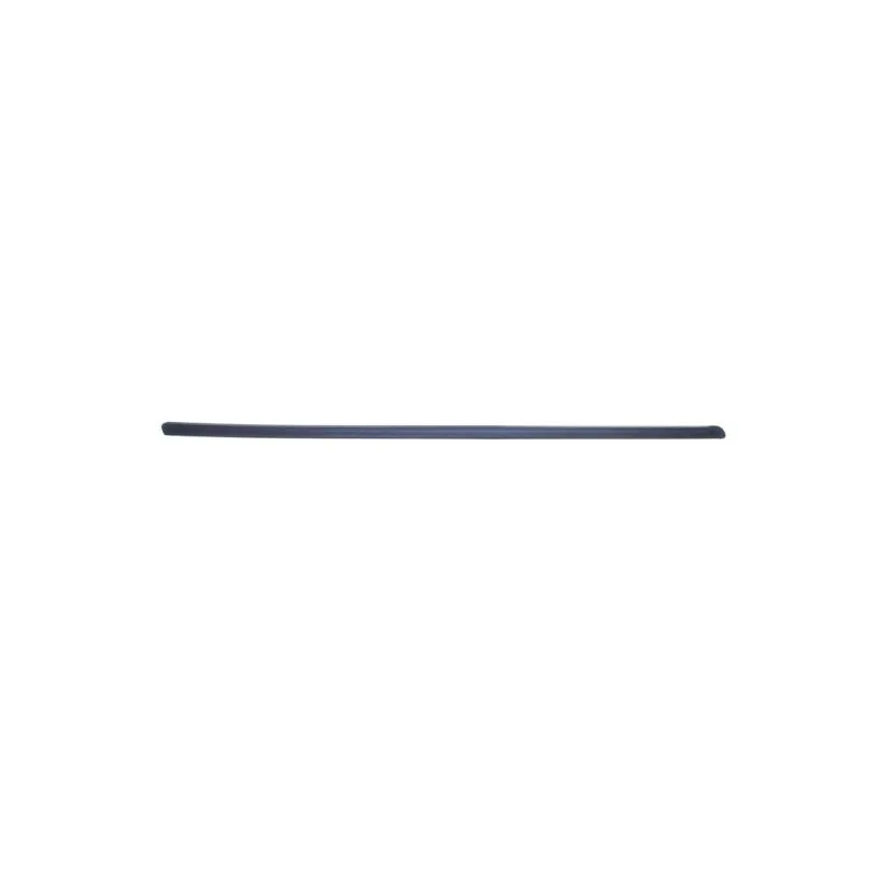 Baguette et bande protectrice, aile avant droit BLIC 5703-04-2026572P