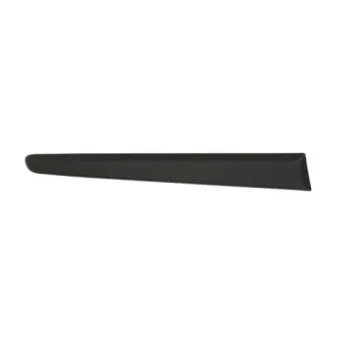 Baguette et bande protectrice, aile arrière droit BLIC 5703-04-2027474P