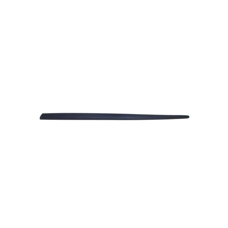 Baguette et bande protectrice, aile avant gauche BLIC 5703-04-2027571P