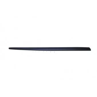 Baguette et bande protectrice, aile avant droit BLIC 5703-04-2027572P