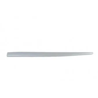 Baguette et bande protectrice, aile avant gauche BLIC 5703-04-2027575P