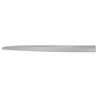 Baguette et bande protectrice, aile avant gauche BLIC 5703-04-2027575PP