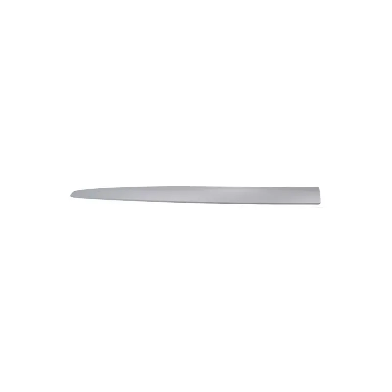 Baguette et bande protectrice, aile avant gauche BLIC 5703-04-2027575PP
