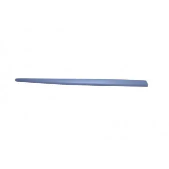 Baguette et bande protectrice, aile avant droit BLIC 5703-04-2027576P