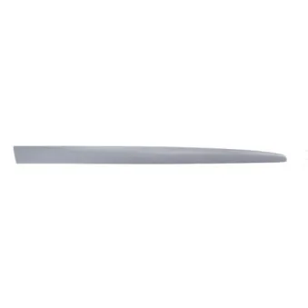 Baguette et bande protectrice, aile avant droit BLIC 5703-04-2027576PP