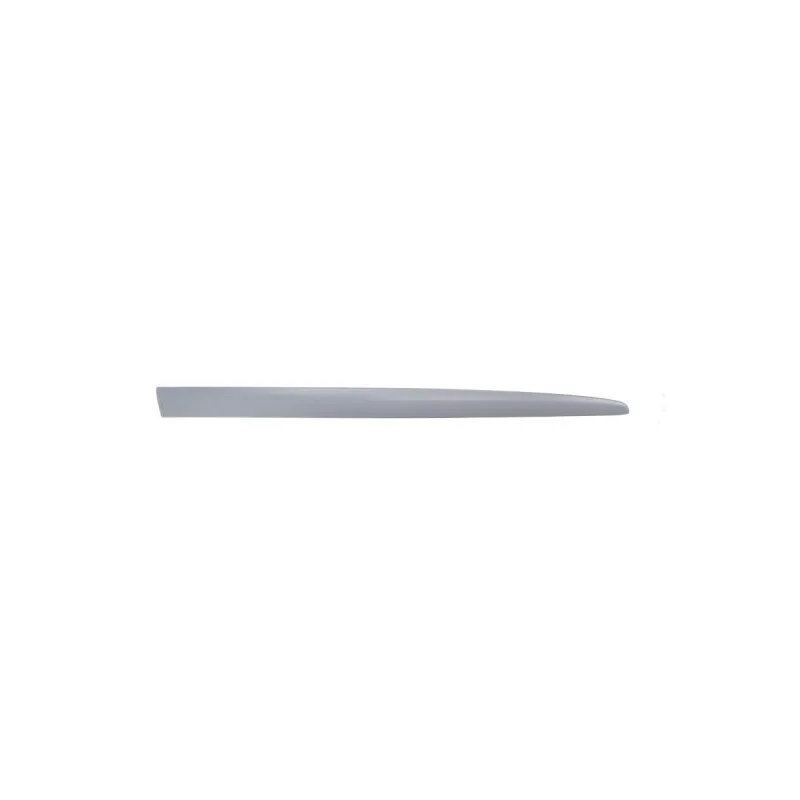Baguette et bande protectrice, aile avant droit BLIC 5703-04-2027576PP