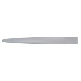 Baguette et bande protectrice, aile arrière gauche BLIC 5703-04-2027577P