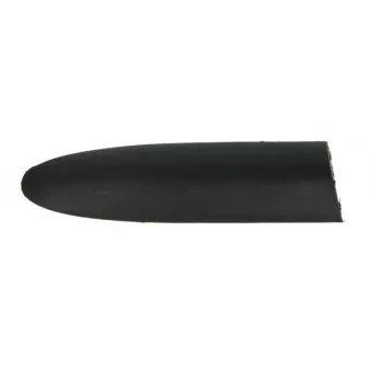 Baguette et bande protectrice, aile arrière droit BLIC 5703-04-2031474P
