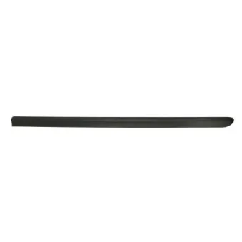 Baguette et bande protectrice, aile avant gauche BLIC 5703-04-2042571P