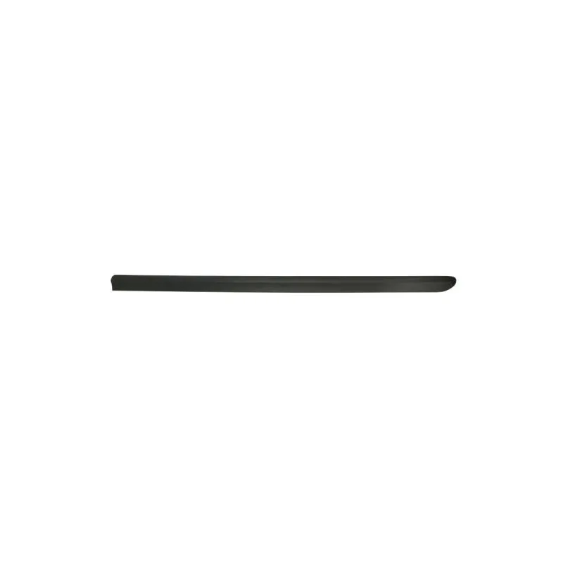 Baguette et bande protectrice, aile avant gauche BLIC 5703-04-2042571P