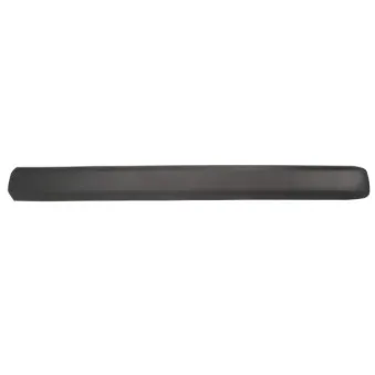 Baguette et bande protectrice, aile avant gauche BLIC 5703-04-2042571PP