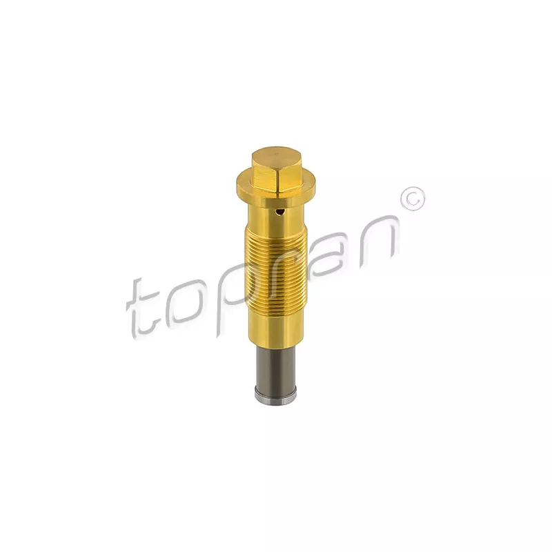 Tendeur, chaîne de distribution TOPRAN 408 963