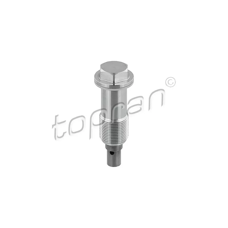 Tendeur, chaîne de distribution TOPRAN 408 978