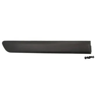 Baguette et bande protectrice, aile arrière droit BLIC 5703-04-2042574PP