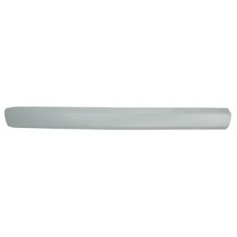 Baguette et bande protectrice, aile avant gauche BLIC 5703-04-2042575P