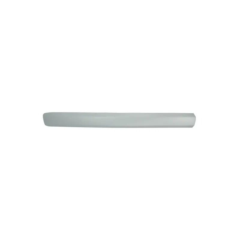 Baguette et bande protectrice, aile avant gauche BLIC 5703-04-2042575P