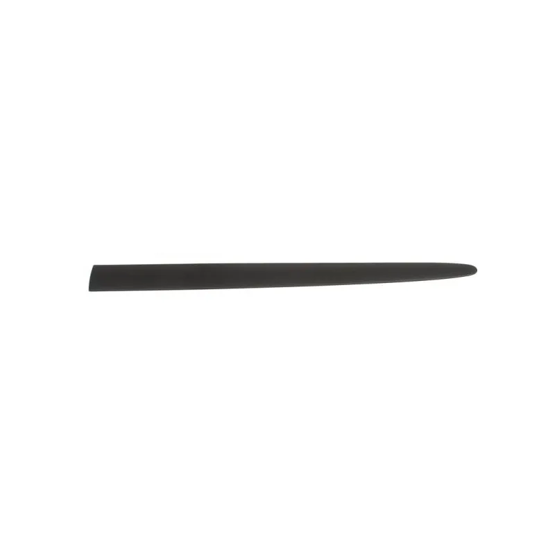 Baguette et bande protectrice, aile avant gauche BLIC 5703-04-2045571P