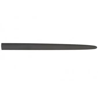 Baguette et bande protectrice, aile avant droit BLIC 5703-04-2045572P