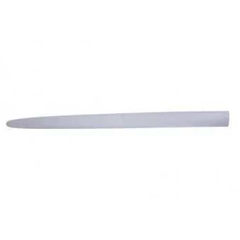 Baguette et bande protectrice, aile avant gauche BLIC 5703-04-2045575P