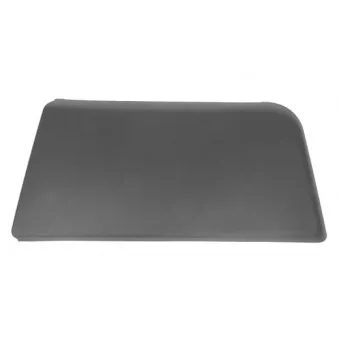 Baguette et bande protectrice, aile avant gauche BLIC 5703-04-2097571P