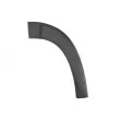 Baguette et bande protectrice, aile avant gauche BLIC 5703-04-2097571PP - Visuel 1