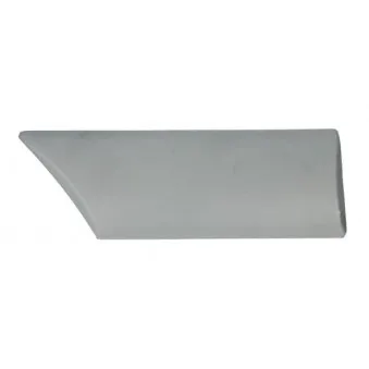 Baguette et bande protectrice, aile avant gauche BLIC 5703-04-2530475P