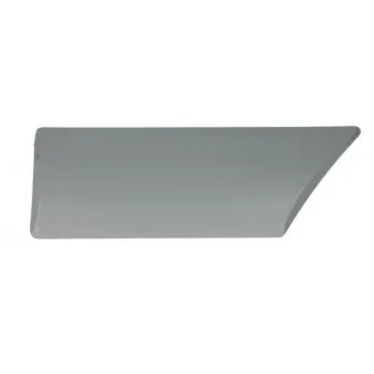 Baguette et bande protectrice, aile avant droit BLIC 5703-04-2530476P