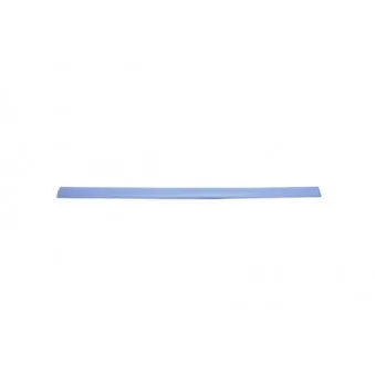 Baguette et bande protectrice, aile avant droit BLIC 5703-04-2530576P
