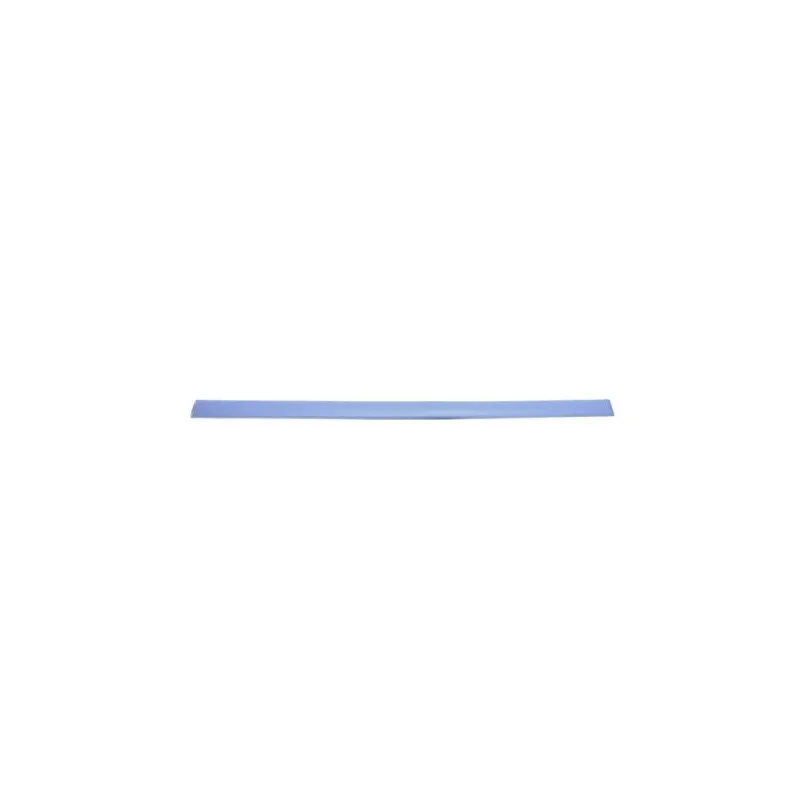Baguette et bande protectrice, aile avant droit BLIC 5703-04-2530576P