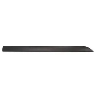 Baguette et bande protectrice, aile avant gauche BLIC 5703-04-2532571P