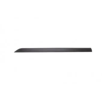 Baguette et bande protectrice, aile avant droit BLIC 5703-04-2532572P