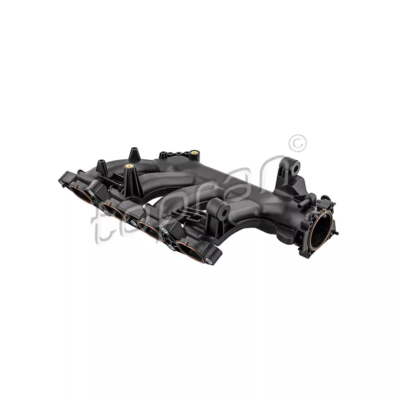 Module de tube d'admission TOPRAN 409 849
