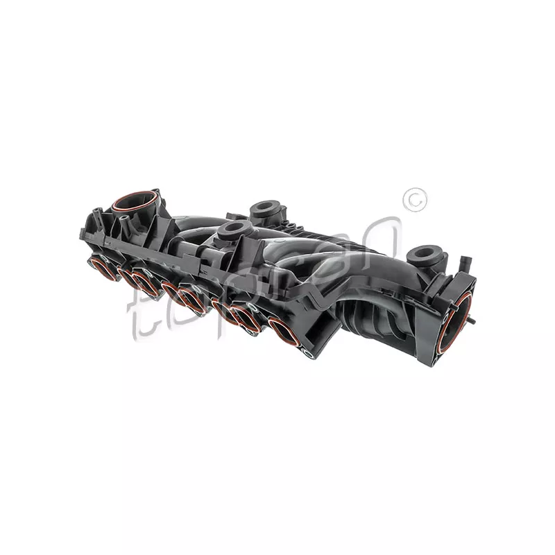 Module de tube d'admission TOPRAN 409 850