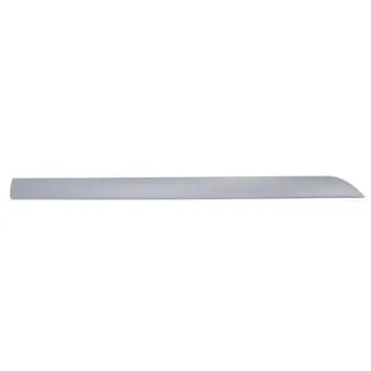 Baguette et bande protectrice, aile avant gauche BLIC 5703-04-2532575P