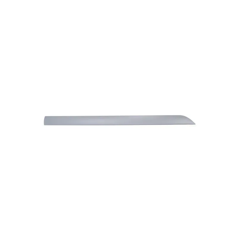 Baguette et bande protectrice, aile avant gauche BLIC 5703-04-2532575P