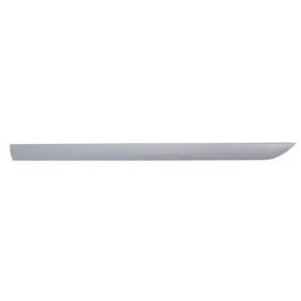 Baguette et bande protectrice, aile avant droit BLIC 5703-04-2532576P