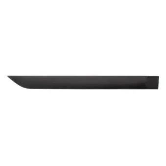 Baguette et bande protectrice, aile arrière droit BLIC 5703-04-2532578P