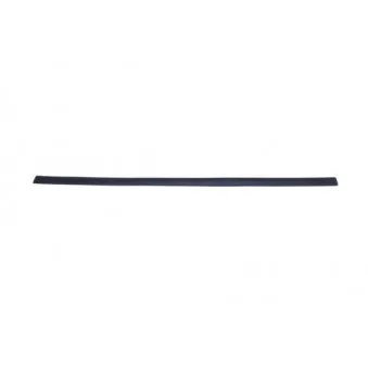 Baguette et bande protectrice, aile avant gauche BLIC 5703-04-2533571P