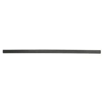 Baguette et bande protectrice, aile avant droit BLIC 5703-04-2533572P