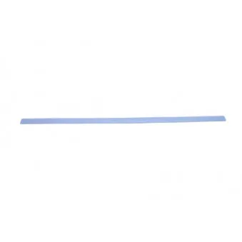 Baguette et bande protectrice, aile avant gauche BLIC 5703-04-2533575P