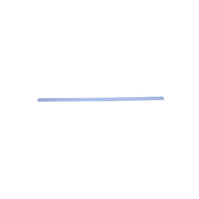 Baguette et bande protectrice, aile avant gauche BLIC 5703-04-2533575P