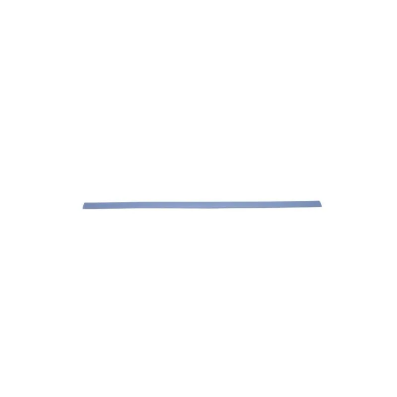 Baguette et bande protectrice, aile avant droit BLIC 5703-04-2533576P