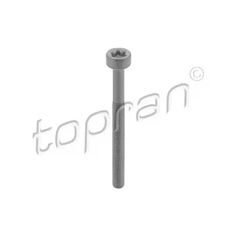 Vis, support pour controleur d'injecteurs TOPRAN 410 287