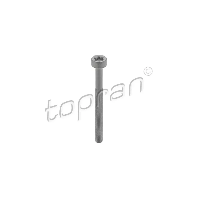Vis, support pour controleur d'injecteurs TOPRAN 410 287